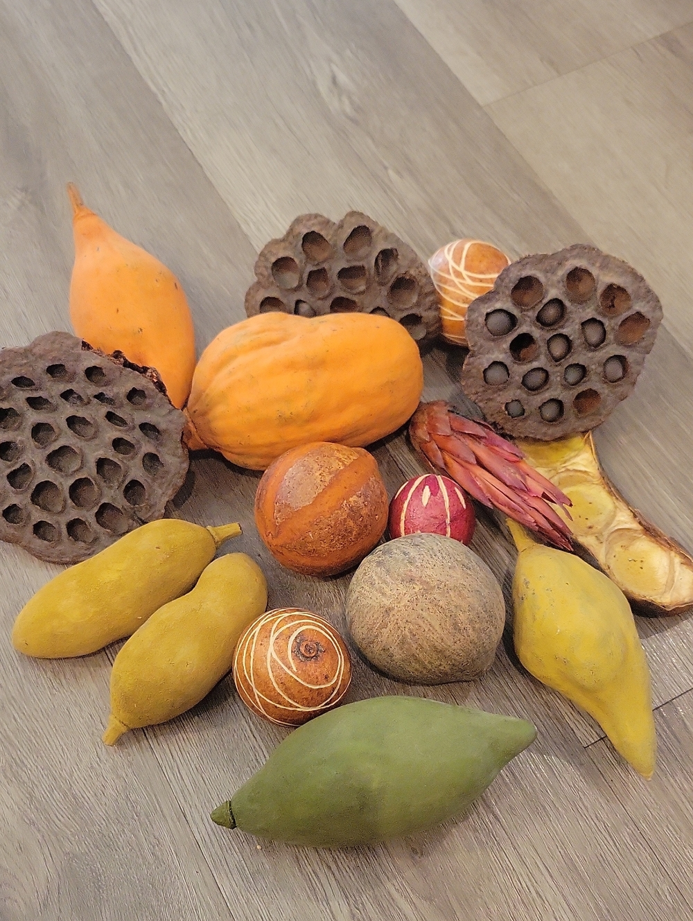 Assorted Natural Decorative Potpourri - Earthy Tones